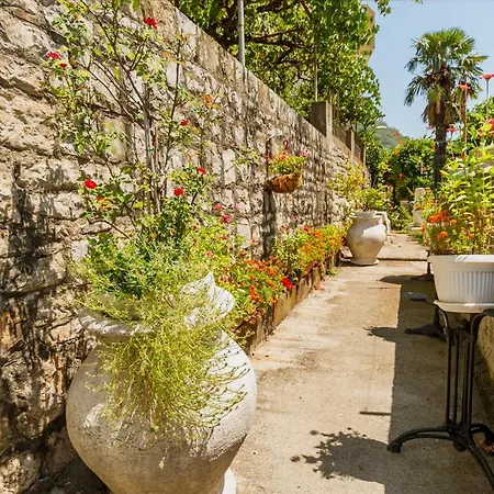 Accommodatie bij particulieren Da Vida Podgorica